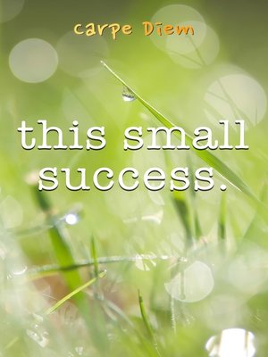 cover image of This Small Success